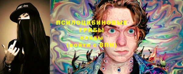 дживик Арсеньев