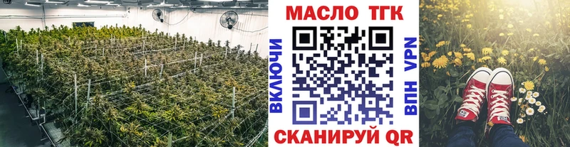 Купить  Шахунья  ТГК гашишное масло 