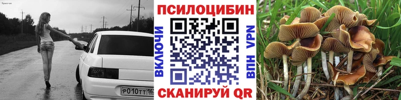 Псилоцибиновые грибы GOLDEN TEACHER Шахунья